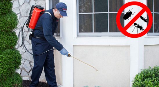 Sulakyurt Dezenfeksiyon böcek ilaçlama ve haşere kontrolü — ilaclama-tr.com
